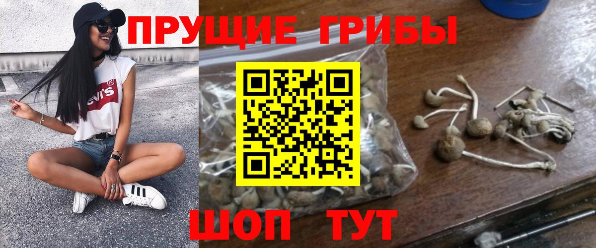 Псилоцибиновые грибы прущие грибы Воткинск